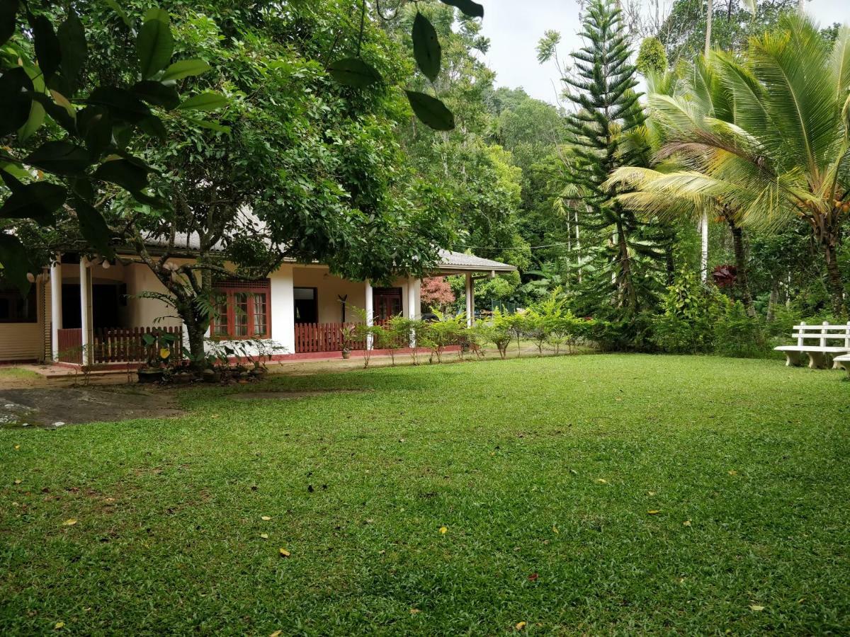 Alfred Colonial Bungalow & Spice Garden Kobbekaduwa Eksteriør billede